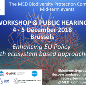 mid_term_workshop_panacea