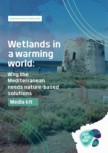wetland in warming world